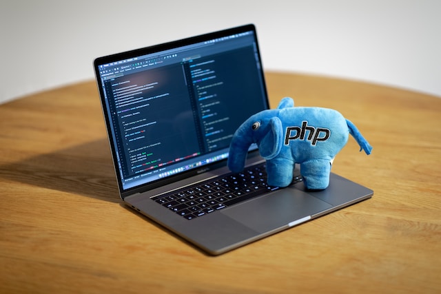 PHP Software Development: Guiding You Through Every Coding Challenge!